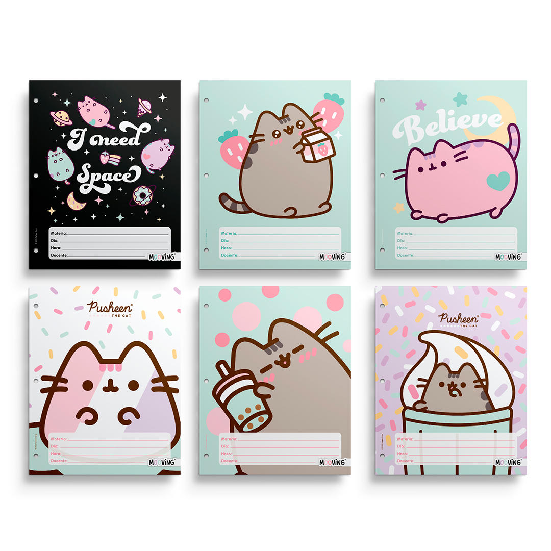 SEPARADOR P/MATERIAS MOOVING NRO.3 PUSHEEN