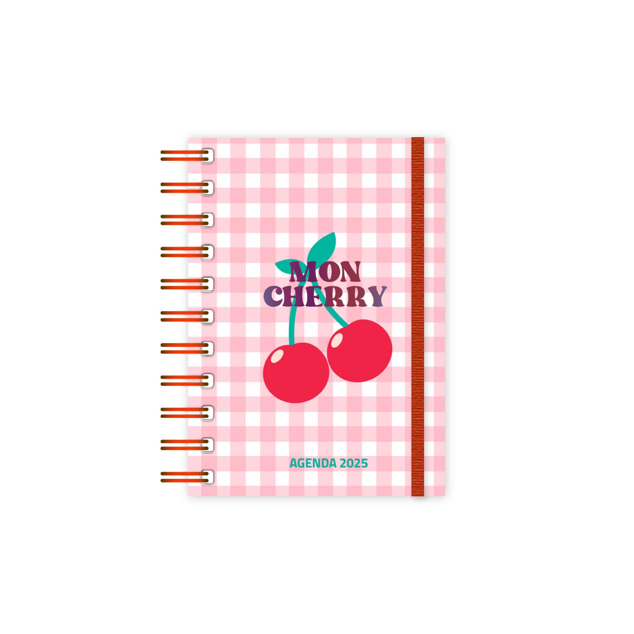 AGENDA ONIX CHERRY DIARIA C/ESP. 10 X 15 CM (AG25C001)