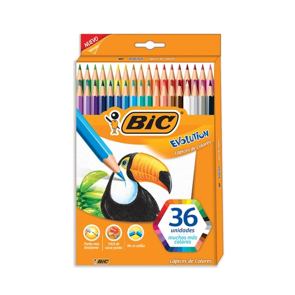 LAPICES DE COLORES BIC EVOLUTION X 36 LARGOS