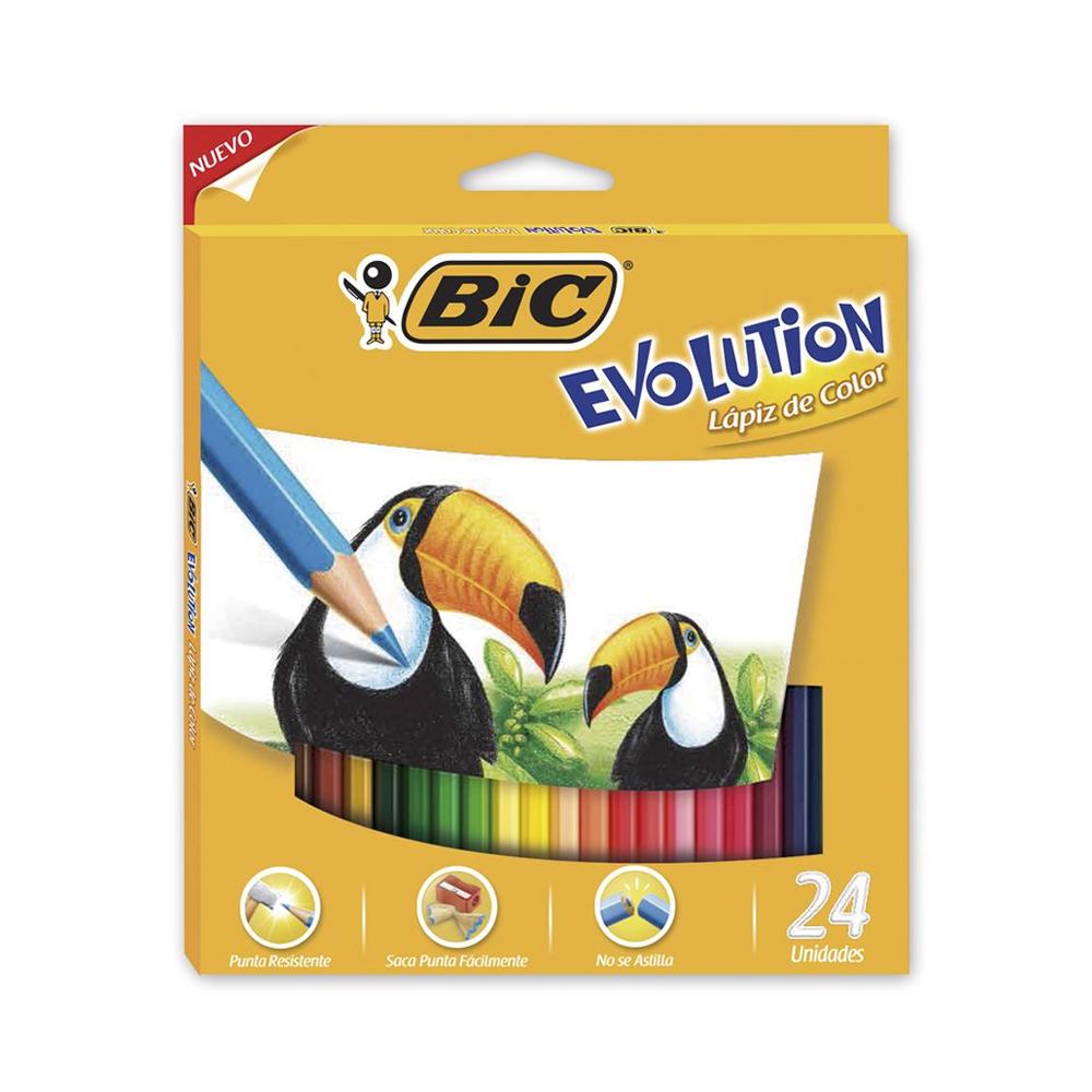 LAPICES DE COLORES BIC EVOLUTION X 24 LARGOS (936406)