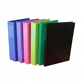 CARPETA THE PEL A4 2 X 40 MM. FORRADA PVC C/TARJETERO V/COLORES