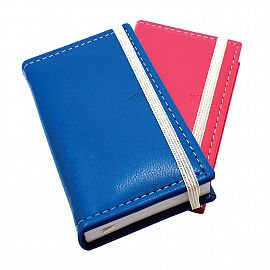 AGENDA NIVEL 10 POWER EURO S/ VISTA 16 X 8 CM V/COLORES (3123)