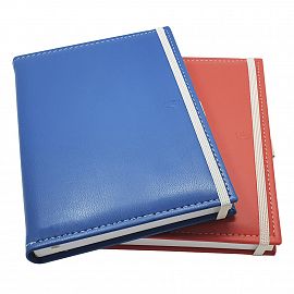 AGENDA NIVEL 10 BONJOUR EURO DIARIA 16 X 22 CM (3623)