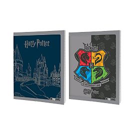 CUADERNO MOOVING T. FLEX  X 48 HJS. RAYADO HARRY POTTER