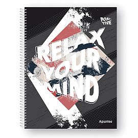 CUADERNO APUNTES POSITIVE 29/7 X 80 HJS.  RAYADO