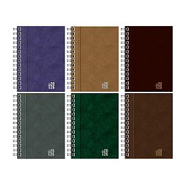 AGENDA ONIX UOMO COLORS DIARIA C/ESP. 16 X 22 CM (AG26A002)
