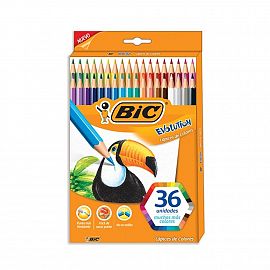 LAPICES DE COLORES BIC EVOLUTION X 36 LARGOS